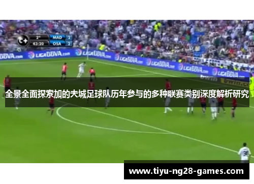 全景全面探索加的夫城足球队历年参与的多种联赛类别深度解析研究